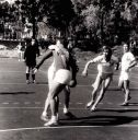 KP_muzu-KH-Bela-rijen_78-8.jpg